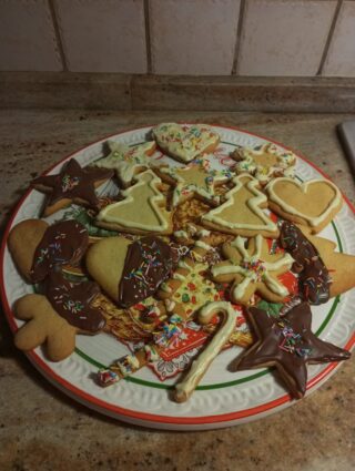 5d7d1c9b-173e-4081-8f31-e5af599bf724